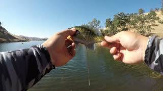 Millerton Lake Bluegill Fishing [upl. by Ailyn794]