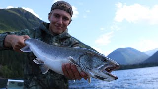 Trolling For FAT Bull Trout Chilliwack Lake BC [upl. by Sakmar345]