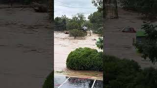 Asheville house floats away floodwaters from Helene [upl. by Suneya889]