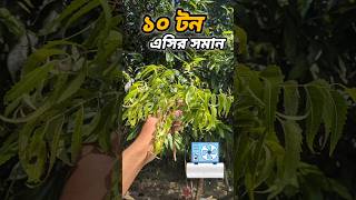 ১০ টন এসির বাতার যে গাছে দেয় 😮 agriculture aircooler health shorts ytshorts [upl. by Suiradel797]