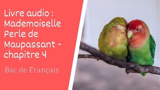 Mademoiselle Perle de Maupassant Livre audio Chapitre 4 [upl. by Leba928]