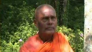 Bhante Gunaratana 15 Why meditation was uncommon in Sri L [upl. by Adyl989]