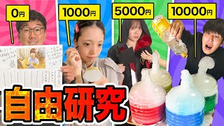 【対決】予算0円vs500円vs1000円vs1万円！夏休みの自由研究対決したらヤバいものができたww [upl. by Girhiny973]