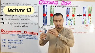 Crossing over amp recombinant frequency full detail lecture in hindi and urdu by Aizaz biology walla [upl. by Rashidi]