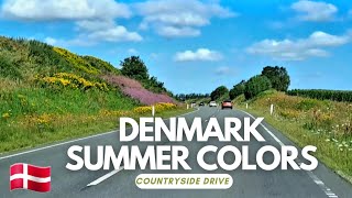 Scenic Danish Countryside Summer Fields in Full Color  Virtual Road Trip [upl. by Doyle]