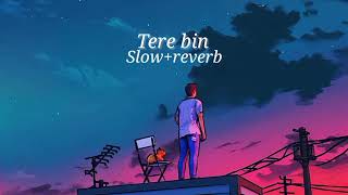 tere bin song lofi ampslowreverb [upl. by Alisa]