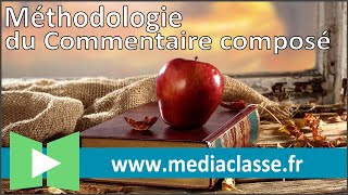 Méthodologie du commentaire composé ancienne version [upl. by Evangelia376]