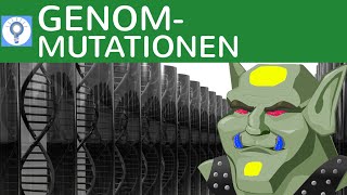 Genommutationen Trisomie Monosomie GeschlechtsAnomalien DownSyndrom  3  Genetik [upl. by Eno467]