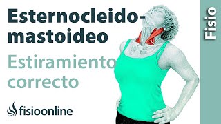 Cómo estirar correctamente el músculo esternocleidomastoideo [upl. by Naejeillib]