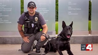 New Missouri law increases punishment for harming police dogs [upl. by Rozelle494]