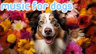 RELAX MY DOG Calming Music for Dogs 24 Hours Quick Sleep Tones [upl. by Leiru]