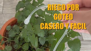 RIEGO por GOTEO casero FÁCIL para MACETAS  Sin electricidad grifo o bomba [upl. by Sawyor839]