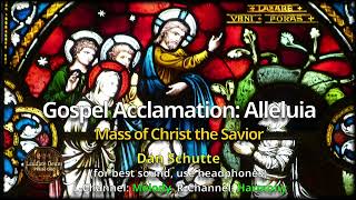 Gospel Acclamation Alleluia Mass of Christ the Savior Dan Schutte [upl. by Barimah]