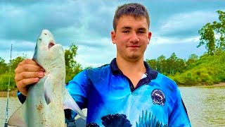 Brisbane river bull shark fishing [upl. by Gleason]