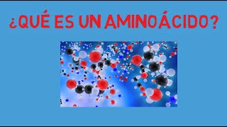 ¿Qué es un aminoácido Estructura y Clasificación [upl. by Theall]