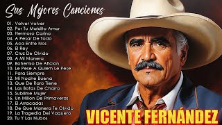 🦄VICENTE FERNANDEZ MEJORES CANCIONES  VICENTE FERNANDEZ 20 GRANDES ÉXITOS MIX [upl. by Castra]