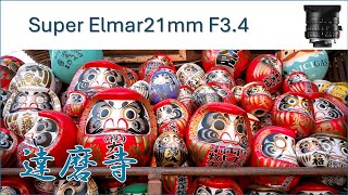 【4K】Leica M10D Super Elmar 21mm F34 Darumaji [upl. by Bodkin]