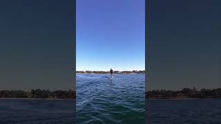 Connelly Ono 2025 7 months post surgery getting back at it wakesurf surfing surfboat lakelife [upl. by Laenaj715]