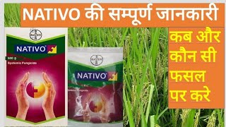 nativo fungicide।। Bayer।। nativo kaun kaun si Crop me dal sakte।।native saurabhkumaragriculture [upl. by Decato]