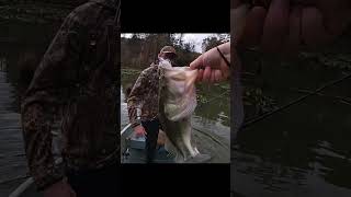 CRAZY sitting down boat flip🎣🐟 bassfishing falltime fishing bass tennesseefishing fallfish [upl. by Eiroj492]