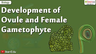 Biology Of Plants  Learn About Ovule and Gametophyte  iKen  iKen Edu  iKen App [upl. by Skyla368]