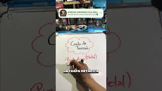 2 MEDICIONES RÁPIDAS PARA DIAGNÓSTICAR LA PLACA DEL CELULAR 📱🔥 shortvideo reparacioncelulares fyp [upl. by Oswin]