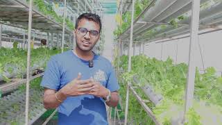 Hydroponics Farming in Nepal [upl. by Ainoet]