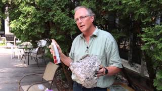 How to remove a wasp nest with insecticidal spray [upl. by Harl759]