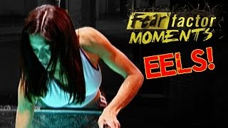 Fear Factor Moments  Electric Eels [upl. by Ilyse97]