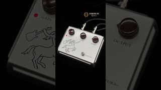 Ceriatone  CENTURA Silver  Strato  ペダルの違いがわかる動画  中古楽器専門店 Qsic [upl. by Shanta432]