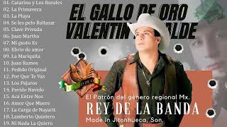 Valentin Elizalde El Gallo De Oro Puros Corridos Mix [upl. by Hsirt]