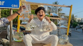 Ali ko itni sari new Fish 🐠 Dilwa Di 😱  First time sharq Fish 🐟 Dekhi 😳 [upl. by Inaboy]