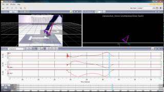 Floor panels GAIT analysis [upl. by Sirronal329]