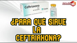 ¿Para qué Sirve la Ceftriaxona [upl. by Elleunamme]