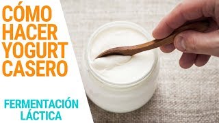 Fermentación Láctica Elaboración de Yogurt Casero [upl. by Annahsad532]