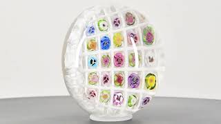 Glass Paperweight Auction 88 Lot 254 [upl. by Wolfgram]