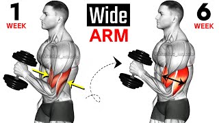 Full Arms Exercises with Dumbbells  Biceps and Triceps  🦾🦾 [upl. by Wurtz]