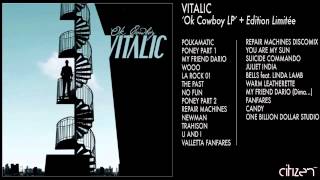 Vitalic  No Fun [upl. by Lodge]