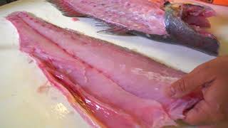 How to Filet a Silver Corvina at Cod amp Caper Seafood [upl. by Ylrebmyk]