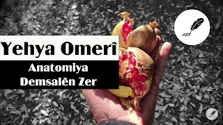 Yehya Omerî  Anatomiya Demsalên Zer Deng Qeyso Binnivîs [upl. by Sandon]