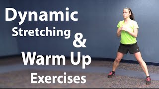 Workout Stretching and Easy Warm Up Exercises  Static and Dynamic Stretching [upl. by Dusza]