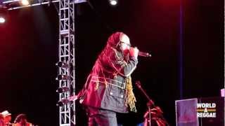 Queen Ifrica amp Wayne J Live  Rebel Salute 2013  Jamaica [upl. by Happ]