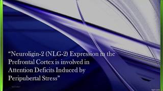 Neuroligin2 NLG2 Prefrontal Cortex and Attention Deficits [upl. by Atilef43]