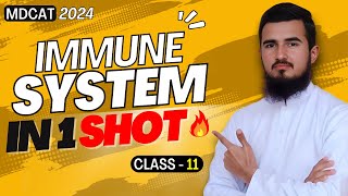 MDCAT 2024 Immunity Full Chapter In One Shot Video Accordng To PMC SyllabusMDCAT Biology Class 11 [upl. by Alisia]