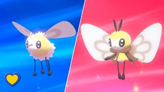 HOW TO Evolve Cutiefly into Ribombee in Pokémon Sword and Shield [upl. by Meil]