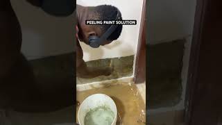 WALL DAMPNESS OR PEELING PAINT SOLUTION waterproofing construction dampproof explore [upl. by Idac]