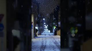 東京の夜は雪 snow tokyo 東京 雪 [upl. by Huai]