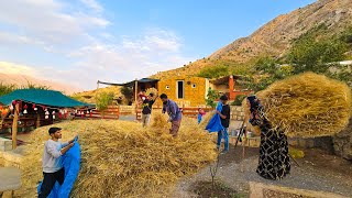 Completing Milad amp Mahins House Roof and Harvesting Wheat with Amirs Family [upl. by Tine]