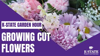 KState Garden Hour Growing Cut Flowers for the Home amp Farmers Marker [upl. by Bernadina]