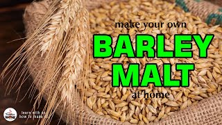 How to make Barley Malt at home [upl. by Kceb]